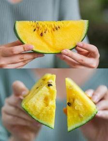 衢州吃瓜事件,一场网络热议背后的真相探寻